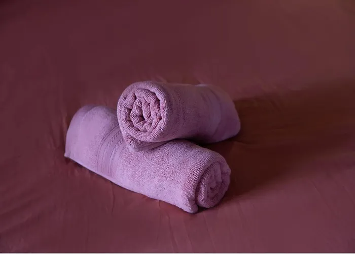 Orange 4 홈스테이